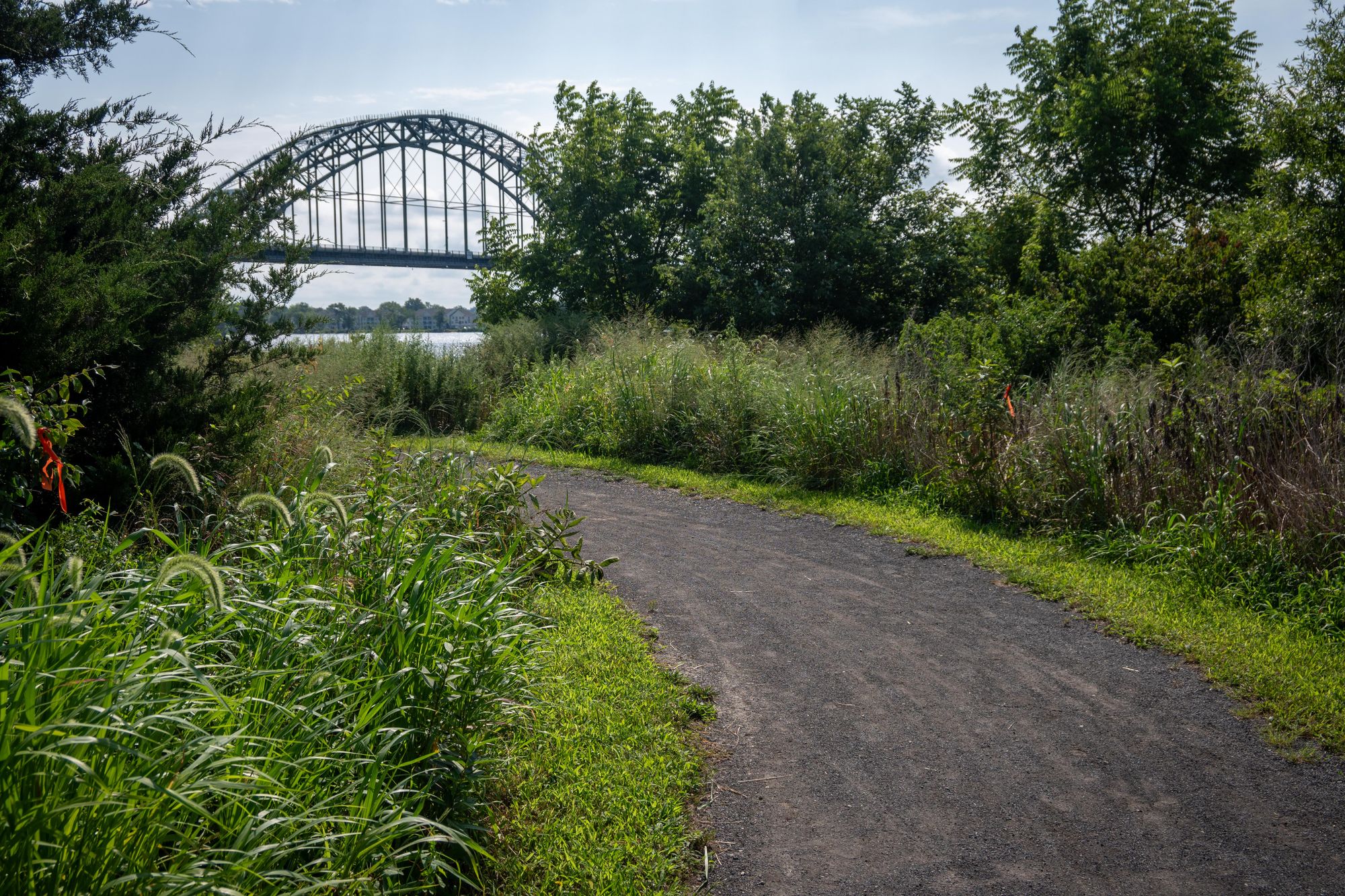 The Pennypack - Wissahickon Connection